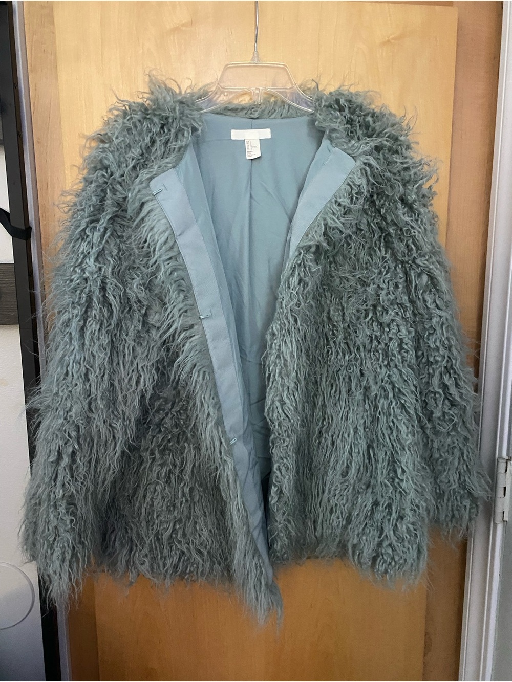 Eclectic Shaggy Faux Fur Coat in Dusty Sage Women’s Large Mongolian Style